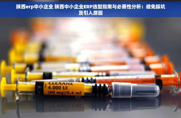 陕西erp中小企业 陕西中小企业ERP选型指南与必要性分析：避免踩坑及引入原因