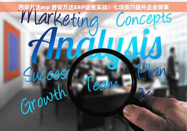 西安万达erp 西安万达ERP运维实战：七项技巧提升企业效率