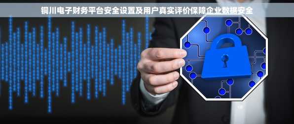 铜川电子财务平台安全设置及用户真实评价保障企业数据安全