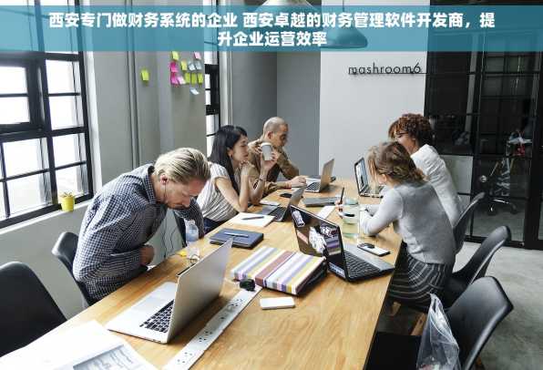 西安专门做财务系统的企业 西安卓越的财务管理软件开发商，提升企业运营效率
