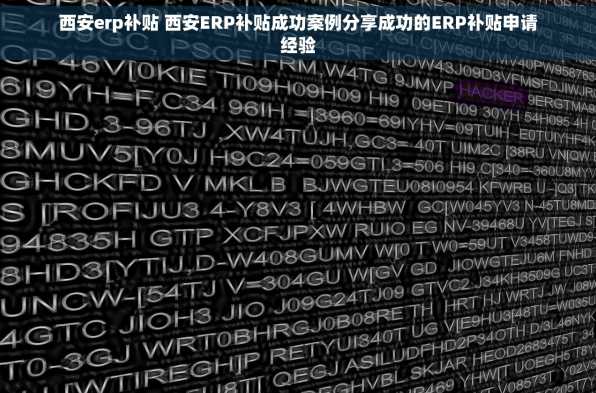 西安erp补贴 西安ERP补贴成功案例分享成功的ERP补贴申请经验