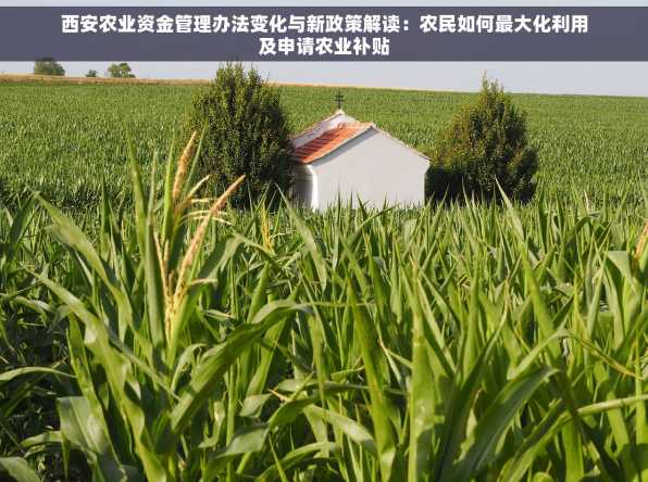 西安农业资金管理办法变化与新政策解读：农民如何最大化利用及申请农业补贴
