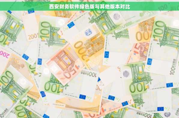 西安财务软件绿色版与其他版本对比