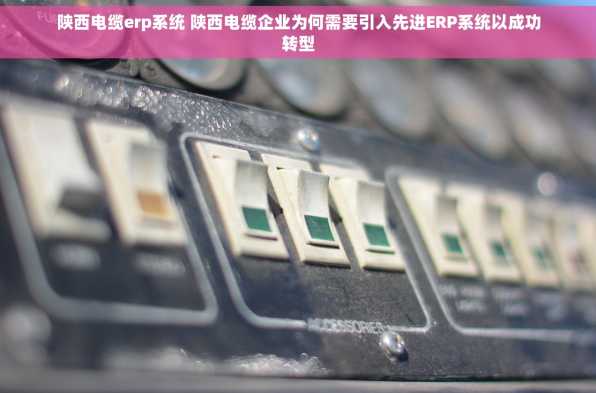 陕西电缆erp系统 陕西电缆企业为何需要引入先进ERP系统以成功转型