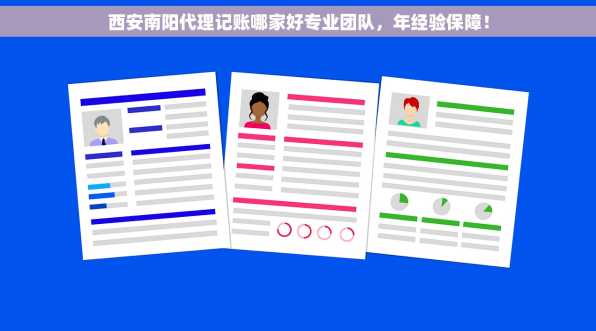 西安南阳代理记账哪家好专业团队，年经验保障！