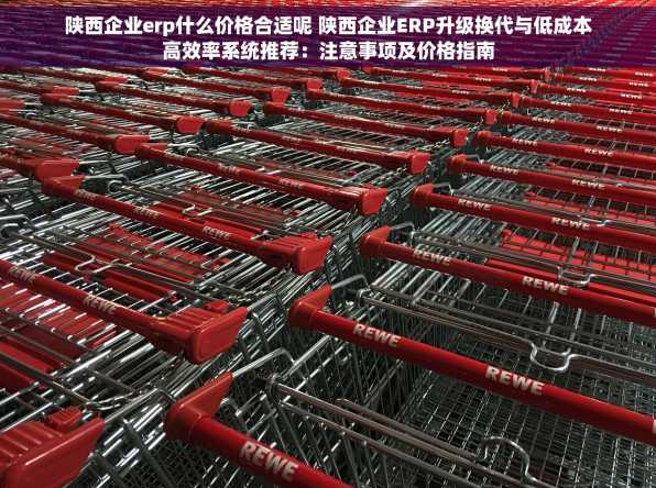 陕西企业erp什么价格合适呢 陕西企业ERP升级换代与低成本高效率系统推荐：注意事项及价格指南