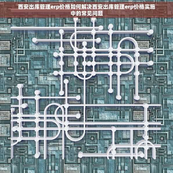 西安出库管理erp价格如何解决西安出库管理erp价格实施中的常见问题