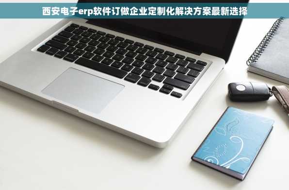 西安电子erp软件订做企业定制化解决方案最新选择