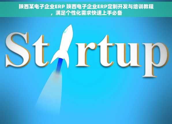 陕西某电子企业ERP 陕西电子企业ERP定制开发与培训教程，满足个性化需求快速上手必备