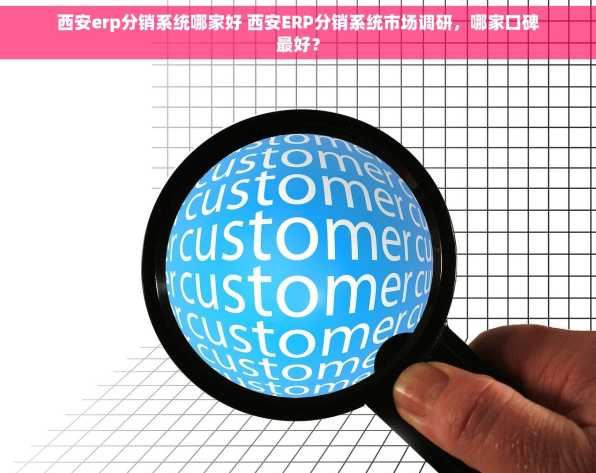 西安erp分销系统哪家好 西安ERP分销系统市场调研，哪家口碑最好？