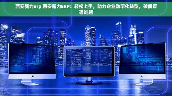 西安新力erp 西安新力ERP：轻松上手，助力企业数字化转型，破解管理难题