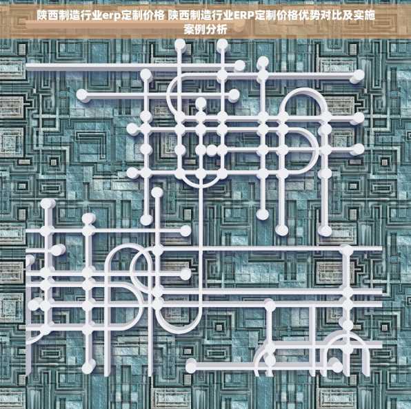 陕西制造行业erp定制价格 陕西制造行业ERP定制价格优势对比及实施案例分析