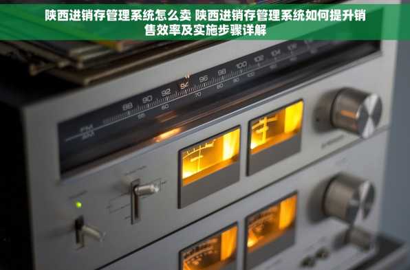 陕西进销存管理系统怎么卖 陕西进销存管理系统如何提升销售效率及实施步骤详解