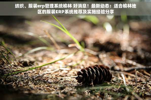 纺织、服装erp管理系统榆林 好消息！最新动态：适合榆林地区的服装ERP系统推荐及实施经验分享