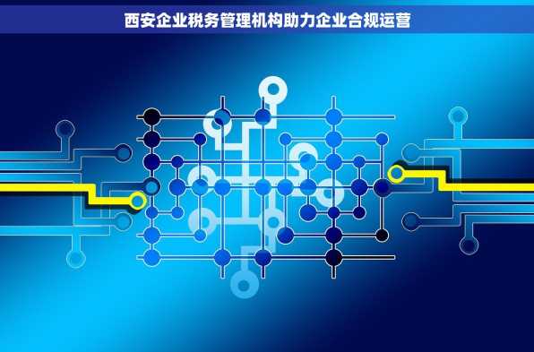 西安企业税务管理机构助力企业合规运营