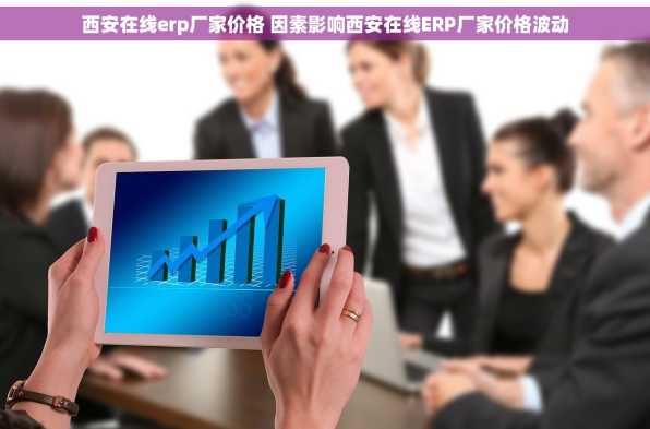 西安在线erp厂家价格 因素影响西安在线ERP厂家价格波动