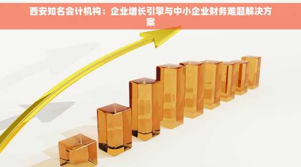 西安知名会计机构：企业增长引擎与中小企业财务难题解决方案