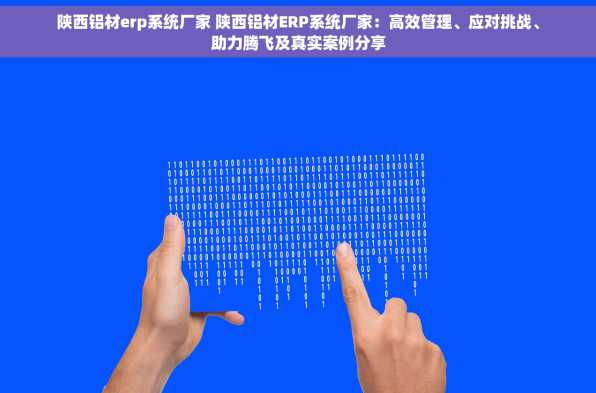 陕西铝材erp系统厂家 陕西铝材ERP系统厂家：高效管理、应对挑战、助力腾飞及真实案例分享
