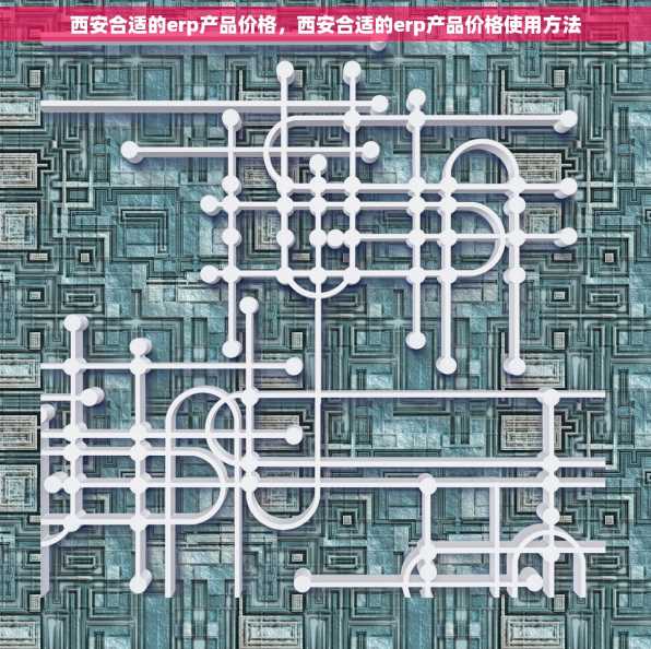 西安合适的erp产品价格，西安合适的erp产品价格使用方法