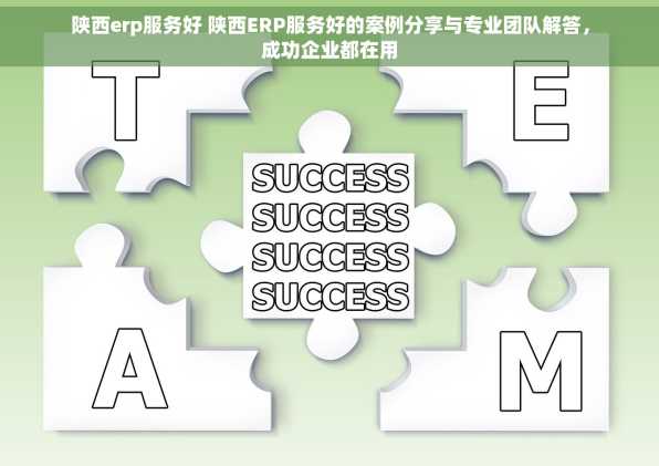 陕西erp服务好 陕西ERP服务好的案例分享与专业团队解答，成功企业都在用