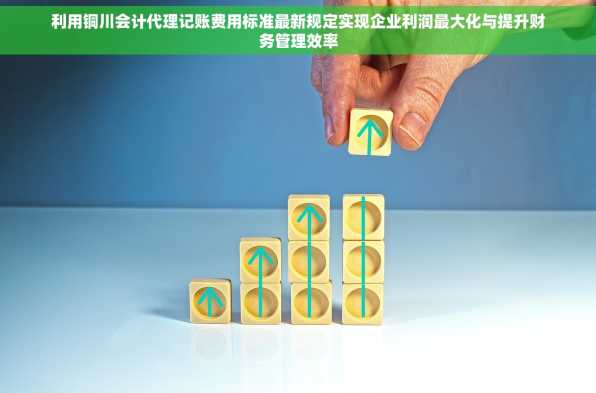 利用铜川会计代理记账费用标准最新规定实现企业利润最大化与提升财务管理效率