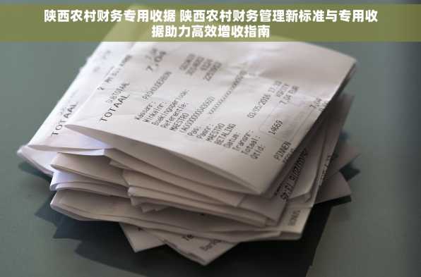 陕西农村财务专用收据 陕西农村财务管理新标准与专用收据助力高效增收指南