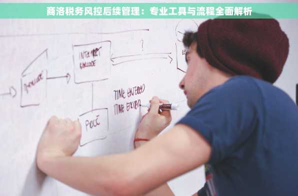 商洛税务风控后续管理：专业工具与流程全面解析