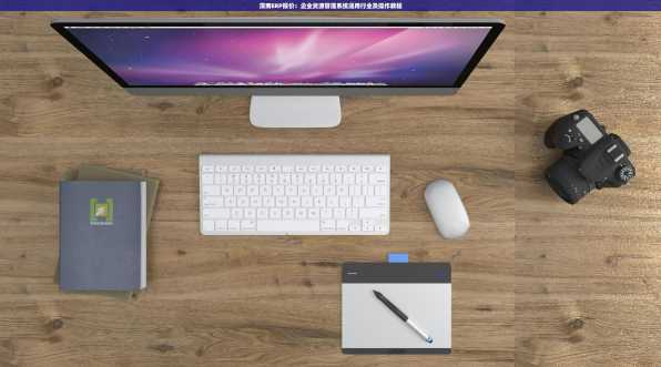 渭南ERP报价：企业资源管理系统适用行业及操作教程