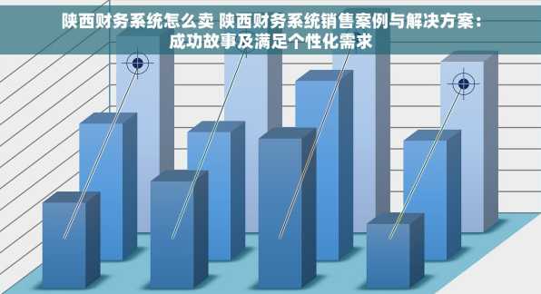 陕西财务系统怎么卖 陕西财务系统销售案例与解决方案：成功故事及满足个性化需求