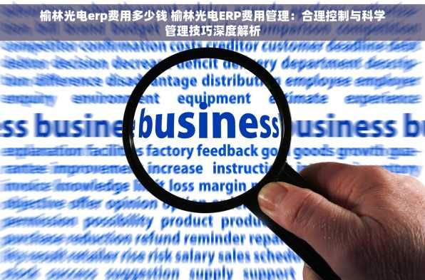 榆林光电erp费用多少钱 榆林光电ERP费用管理：合理控制与科学管理技巧深度解析