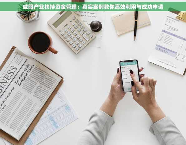 咸阳产业扶持资金管理：真实案例教你高效利用与成功申请