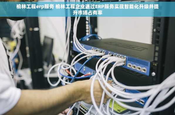 榆林工程erp服务 榆林工程企业通过ERP服务实现智能化升级并提升市场占有率