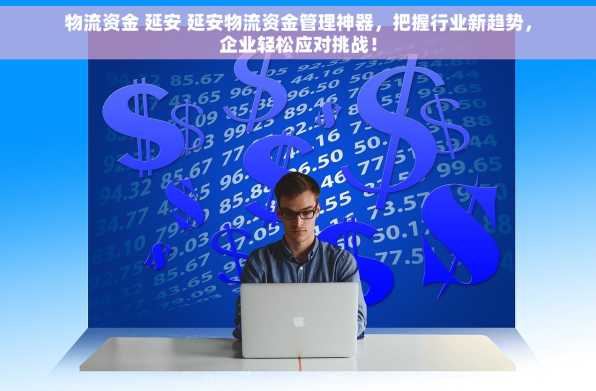 物流资金 延安 延安物流资金管理神器，把握行业新趋势，企业轻松应对挑战！