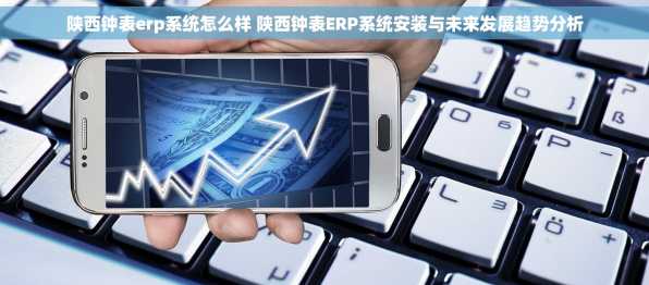 陕西钟表erp系统怎么样 陕西钟表ERP系统安装与未来发展趋势分析