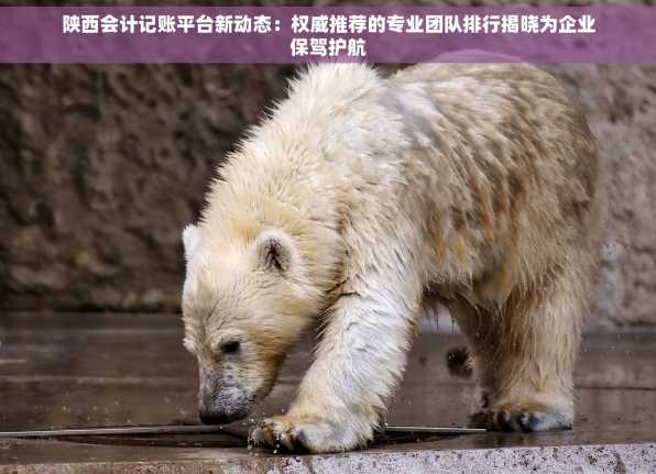 陕西会计记账平台新动态：权威推荐的专业团队排行揭晓为企业保驾护航