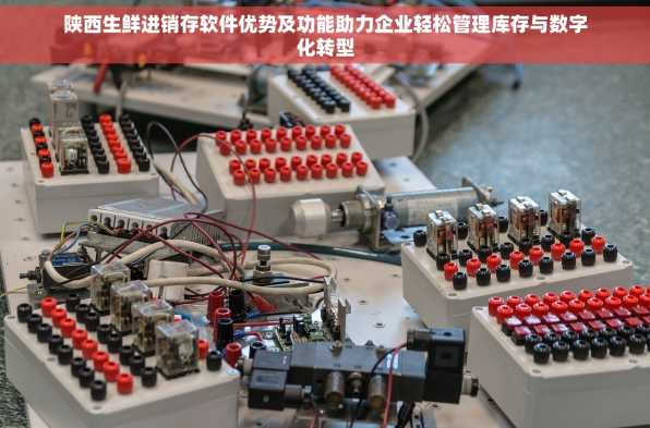 陕西生鲜进销存软件优势及功能助力企业轻松管理库存与数字化转型