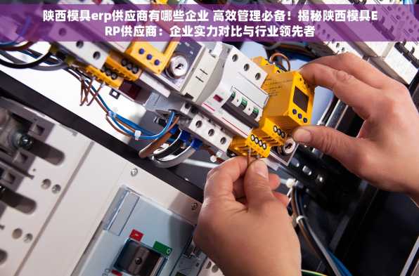 陕西模具erp供应商有哪些企业 高效管理必备！揭秘陕西模具ERP供应商：企业实力对比与行业领先者