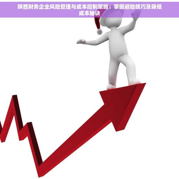 陕西财务企业风险管理与成本控制策略：掌握避险技巧及降低成本秘诀
