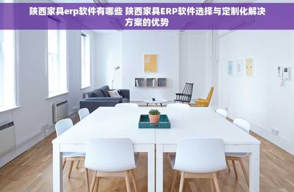 陕西家具erp软件有哪些 陕西家具ERP软件选择与定制化解决方案的优势