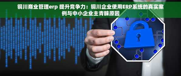 铜川商业管理erp 提升竞争力：铜川企业使用ERP系统的真实案例与中小企业主青睐原因