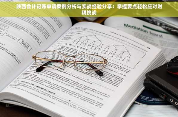 陕西会计记账申请案例分析与实战经验分享：掌握要点轻松应对财税挑战