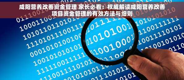 咸阳营养改善资金管理 家长必看：权威解读咸阳营养改善项目资金管理的有效方法与细则