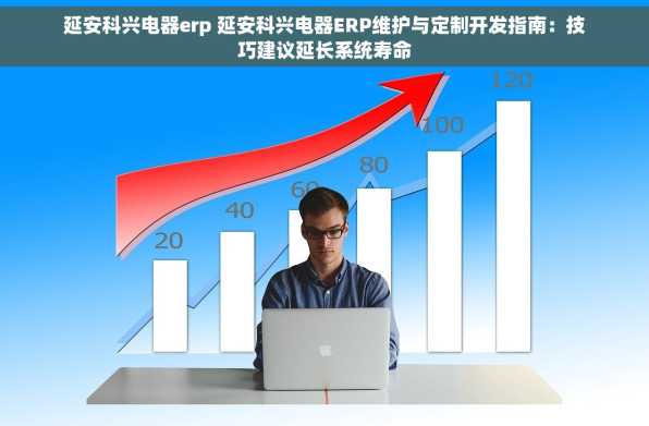 延安科兴电器erp 延安科兴电器ERP维护与定制开发指南：技巧建议延长系统寿命