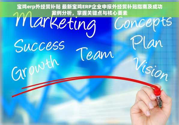 宝鸡erp外经贸补贴 最新宝鸡ERP企业申报外经贸补贴指南及成功案例分析，掌握关键点与核心要素