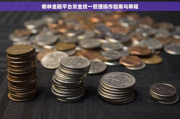 榆林金融平台资金统一管理操作指南与教程