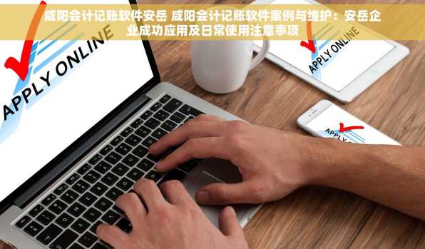 咸阳会计记账软件安岳 咸阳会计记账软件案例与维护：安岳企业成功应用及日常使用注意事项
