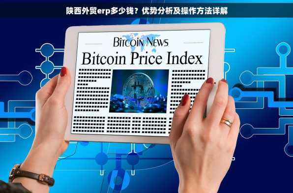陕西外贸erp多少钱？优势分析及操作方法详解