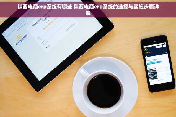 陕西电商erp系统有哪些 陕西电商erp系统的选择与实施步骤详解