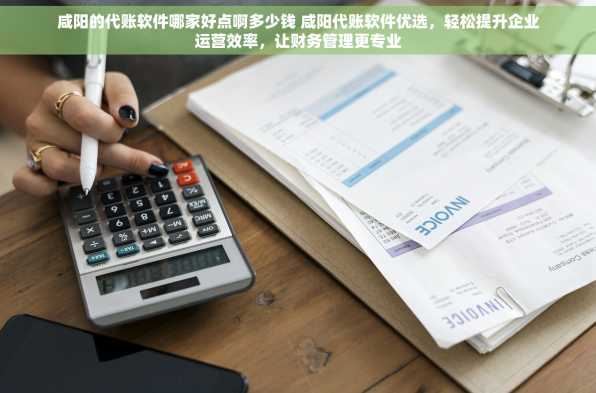 咸阳的代账软件哪家好点啊多少钱 咸阳代账软件优选，轻松提升企业运营效率，让财务管理更专业