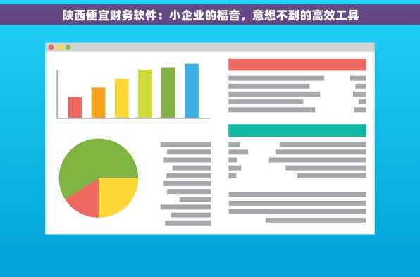 陕西便宜财务软件：小企业的福音，意想不到的高效工具